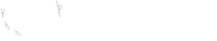 Zinhle Khumalo Attorneys